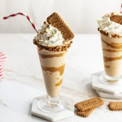 Online Lotus Biscoff Speculoos Koekjes 250g