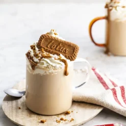 Online Lotus Biscoff Speculoos Koekjes 250g