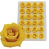 Overig Marsepein Rozen Geel 6-blads 25mm (24 st.)