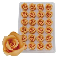 Online Overig Marsepein Rozen Zalm 6-blads 25mm (24 st.)