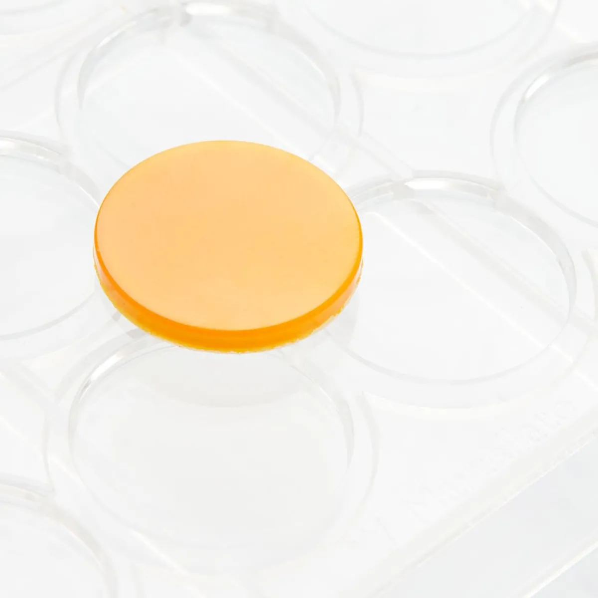 Discount Martellato Chocolademal Circle Disk (24x) Ø33x4mm