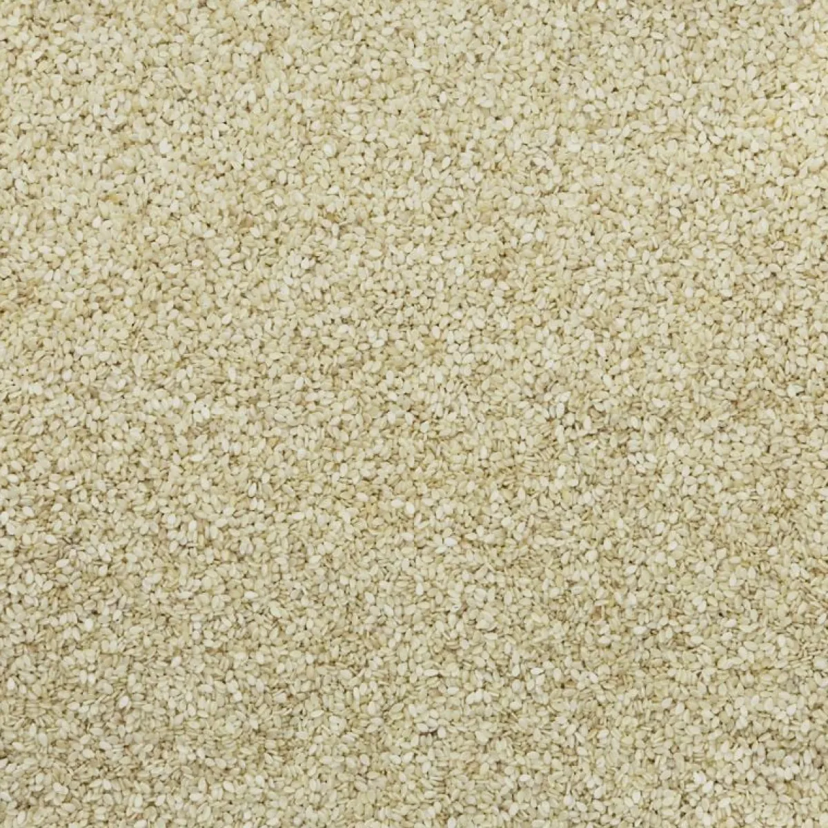 Online Molen de Hoop Sesamzaad gepeld 500gr