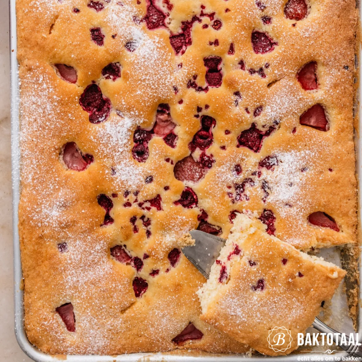 New Nordic Ware Taartpan Rechthoek 24x33cm