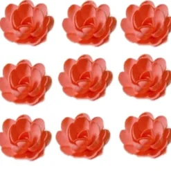 Sale Overig Ouwel bloemen groot Rood, 30 stuks.