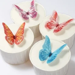 New Culpitt Ouwel vlinders assortiment (144 stuks)