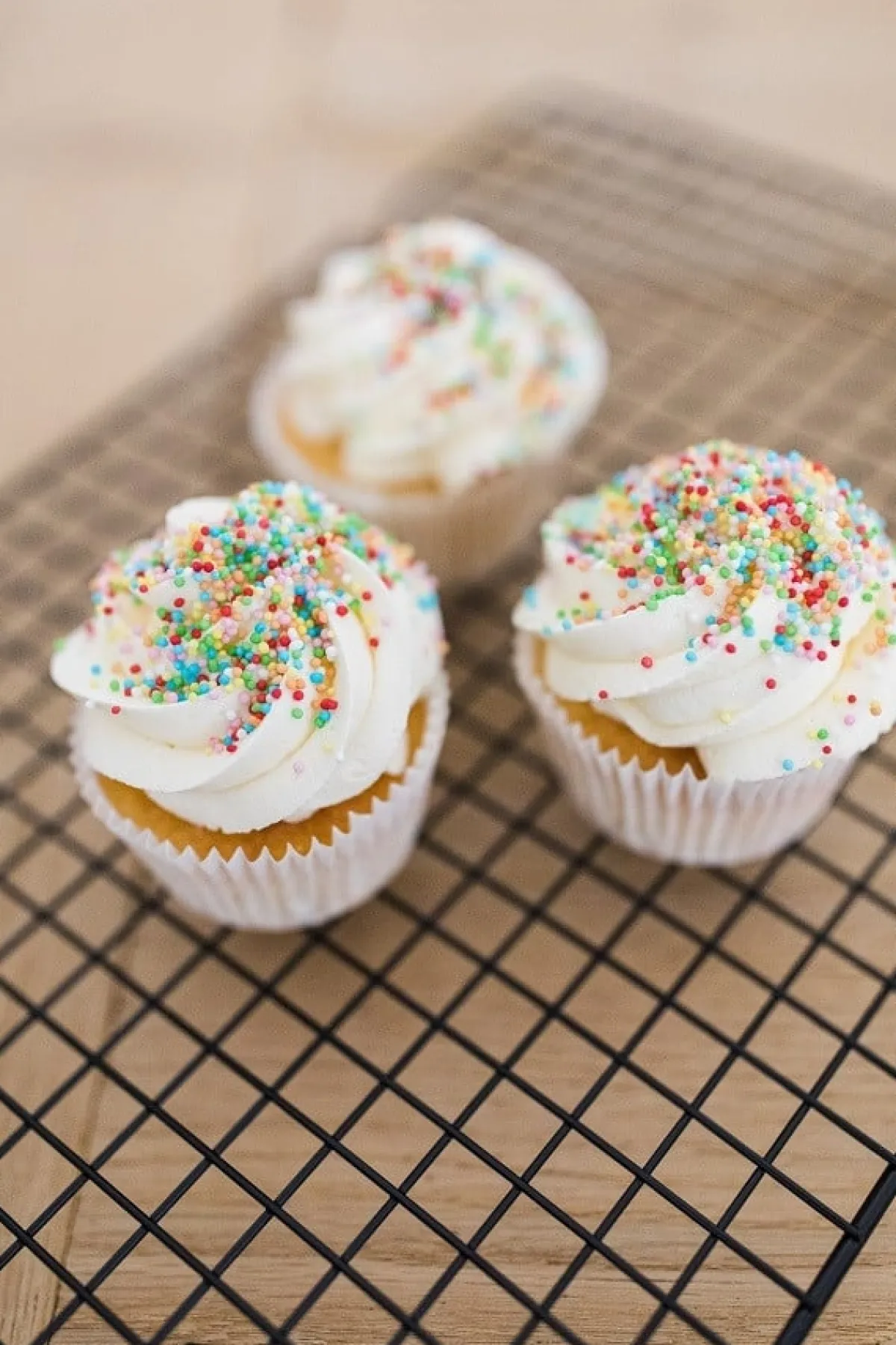 Outlet Patisse Koel/Druip Rooster 40x25cm