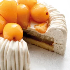 Best Pavoni Siliconen Vorm Charlotte Ø18x6,5cm