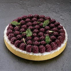 Best Pavoni Siliconen Vorm Top-Bramen Ø180mm