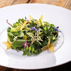 Outlet Pavoni Siliconen Vorm Vlinder 40x39mm (12)30x20cm