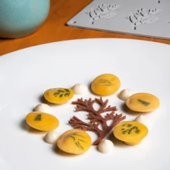 Outlet Pavoni Siliconen Vorm Wood Ø78x48mm (10) 30x20cm