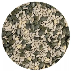 Best BrandNewCake Pittenmix 1kg