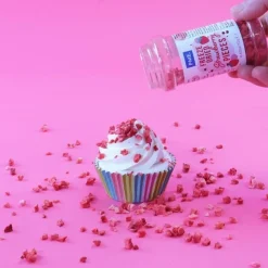 Outlet PME Gevriesdroogde Aardbeien 12g