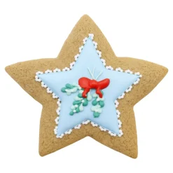 PME Koekjes Uitstekers Sterren Set/3