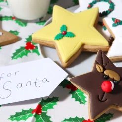 PME Koekjes Uitstekers Sterren Set/3
