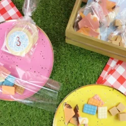 Outlet PME Party Zakjes incl. Zilveren Strik 25st. 229x102mm