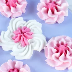 Outlet PME Spuitmondjes Cupcakes Set/3