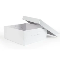 Online PME Taartdoos 22,5x22,5x15cm