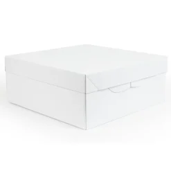 Best PME Taartdoos 20x20x15cm