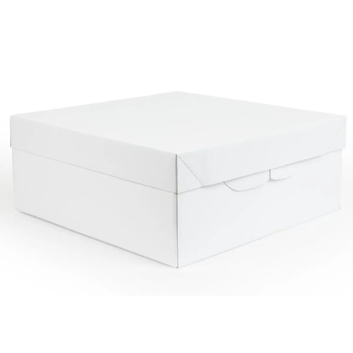 Best PME Taartdoos 20x20x15cm