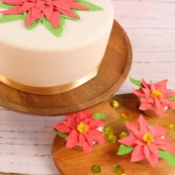 Online PME Uitstekerset Poinsettia Set/6