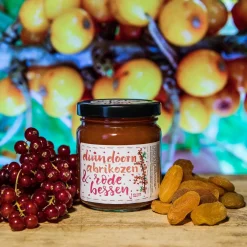 Best ReggeVallei Taartvulling Abrikozen-Rode Bessen 250g