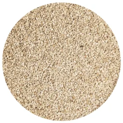 Hot BrandNewCake Sesamzaad Ongepeld Geroosterd 1kg