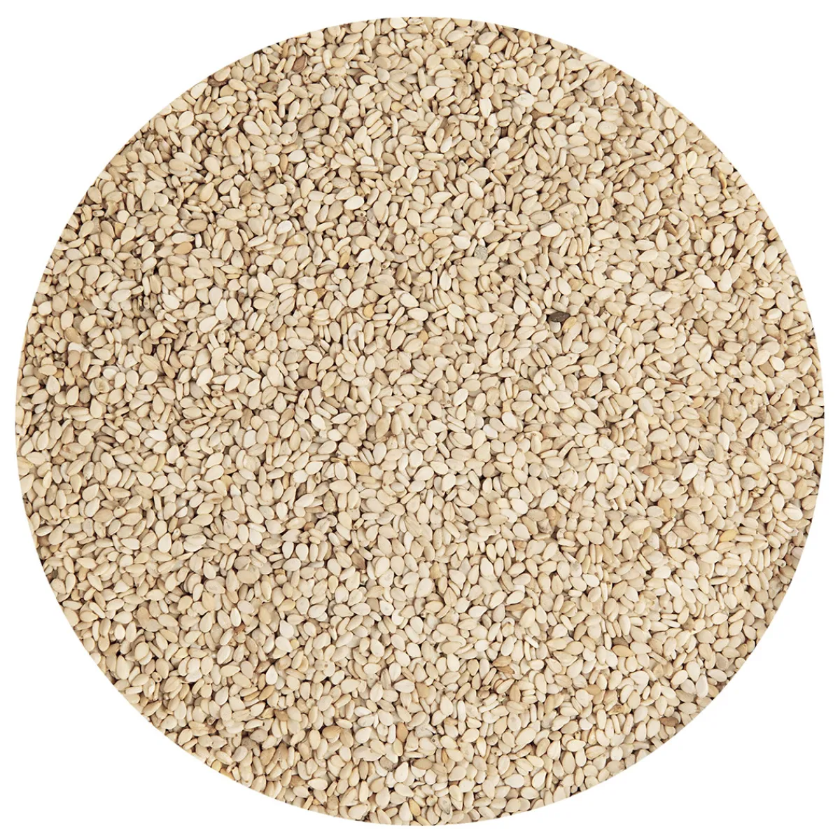 Clearance BrandNewCake Sesamzaad Ongepeld Geroosterd 250g