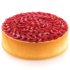 Sale Silikomart Airplus Strip (5) Ø180-200x40(h)mm