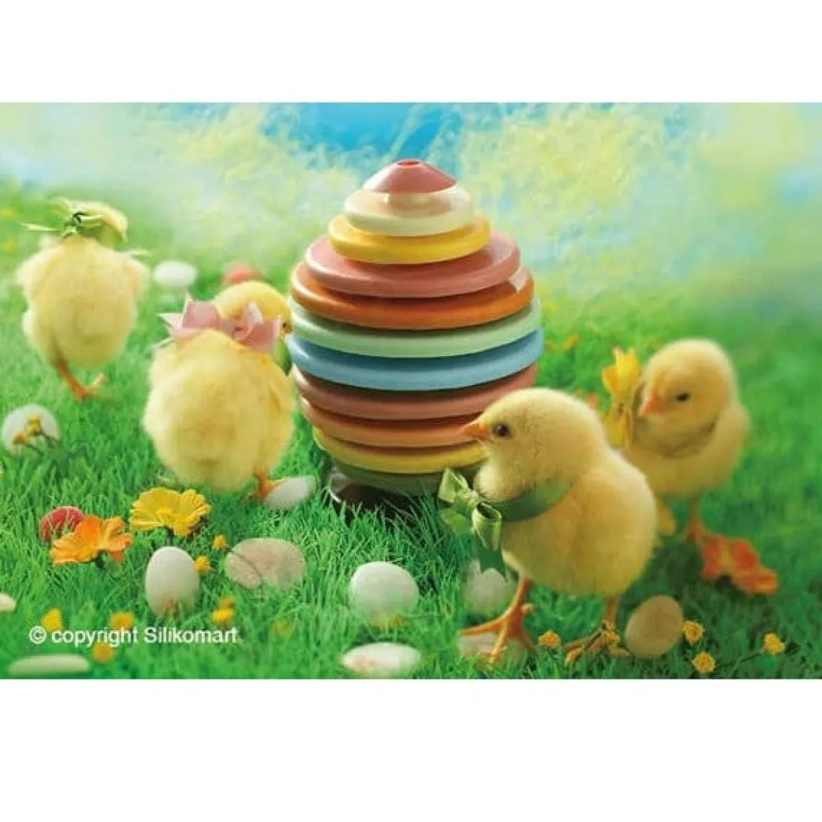 Silikomart Chocolade Vormset Ei Ø305x15(h)mm**