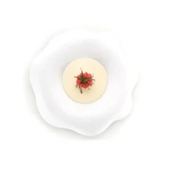 Silikomart Siliconen Vorm Tomaat (12) Ø43x28mm