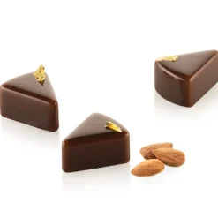 Best Silikomart Siliconen Vorm Slice XS (21) 3,8x3,1x2cm**