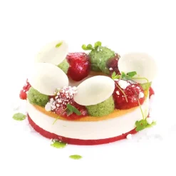 Silikomart Siliconen Vorm Kit Ring (6) Ø8,5/5cm