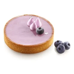 Clearance Silikomart Taartring Exoglass Geperforeerd Ø10x2 Set/4