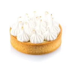 Clearance Silikomart Taartring Exoglass Geperforeerd Ø10x2 Set/4