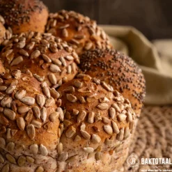 New Molen de Hoop Slaege Volkoren Tarwemeel 1kg (van Rode Wintertarwe)