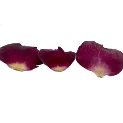 Clearance Sosa Gevriesdroogde Rozenbladeren 5g (560 stuks)