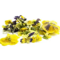 Sale Sosa Gevriesdroogde Violen 5g (290 stuks)