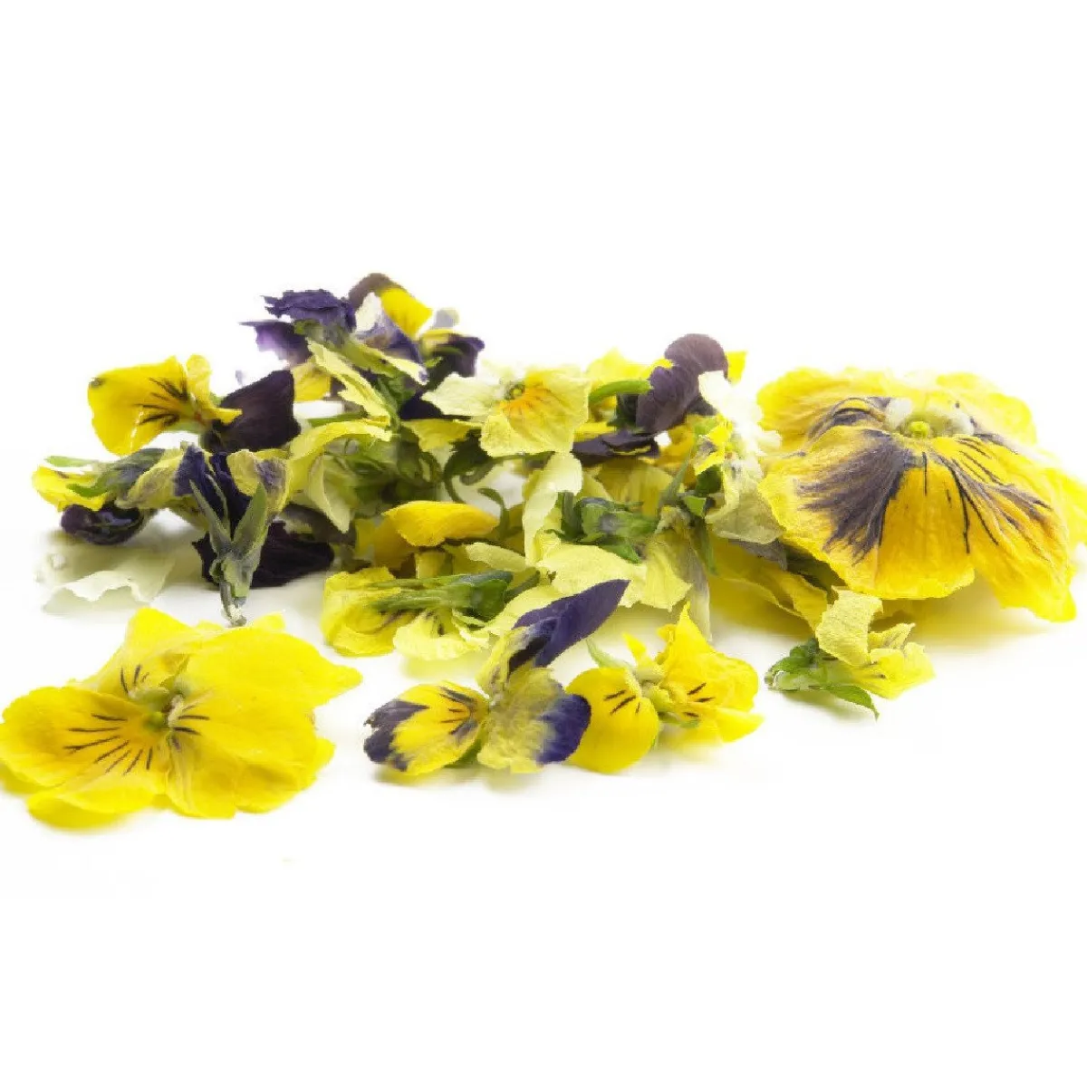 Sale Sosa Gevriesdroogde Violen 5g (290 stuks)