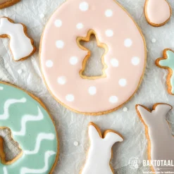 Outlet Overig Spuitmondje Glad RVS 2mm