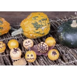 Online Städter Truffelkogel Witte Chocolade (63x) Ø26mm