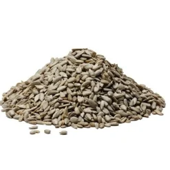 New Stolp Zonnebloempitten 25kg**