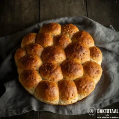 Outlet Overig Taartpan Rond Gesiliconeerd Ø26cm