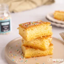 Online Wilton Biscuit/Brownie Bakvorm 27,5x17,5cm