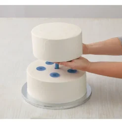 Online Wilton Dowels en Dopjes Set/14