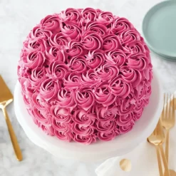 Outlet Wilton Performance Taartpan Rond Ø20x5cm