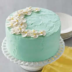 Outlet Wilton Performance Taartpan Rond Ø20x5cm