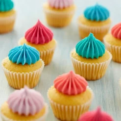 Wilton Spuitmondje #6B en Spuitzakken Set/3