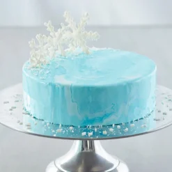 Online Wilton Taartpan Rond Ø30x7,5cm