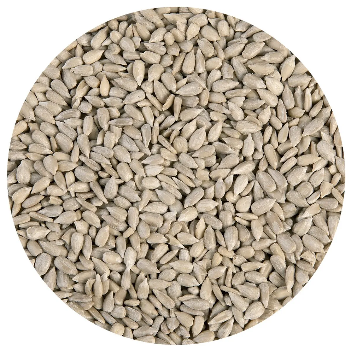 Best BrandNewCake Zonnebloempitten 250g